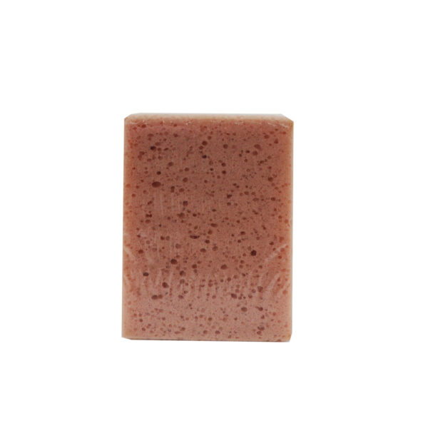 Spugna per Shampoo Auto